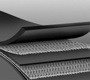 Conveyor Belting Image